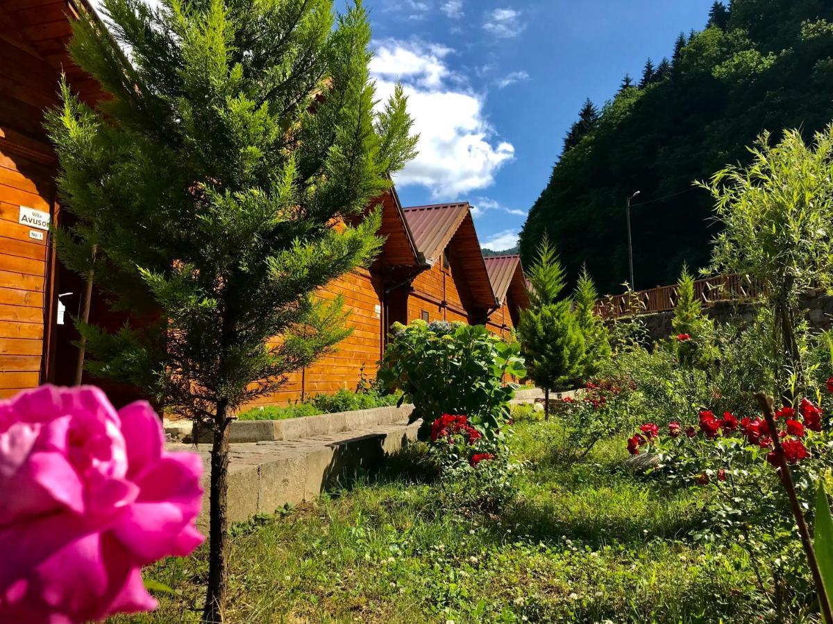 Tuva Villa Bungalov Camlihemsin Exterior photo